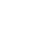 icon_g